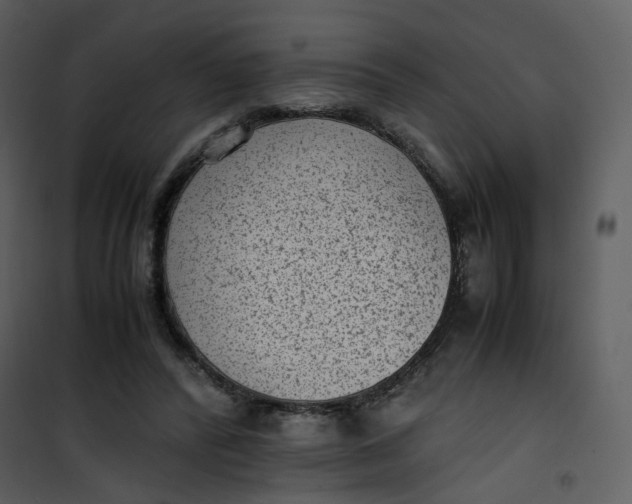 X0000101190400200807181516