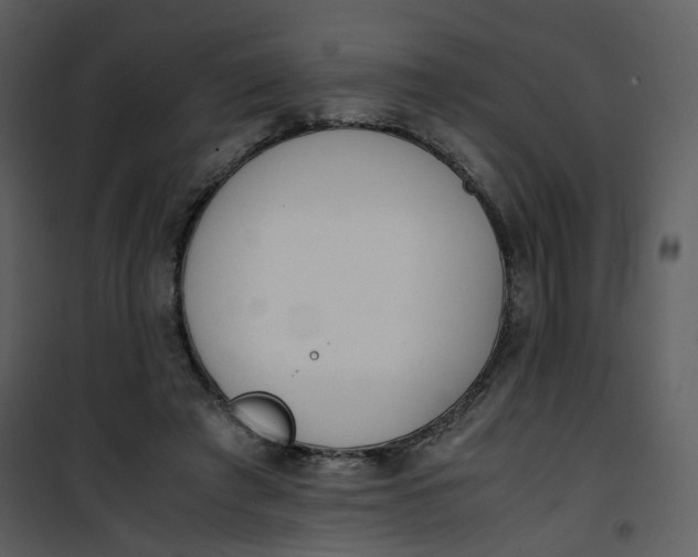 X0000101190401200807181516