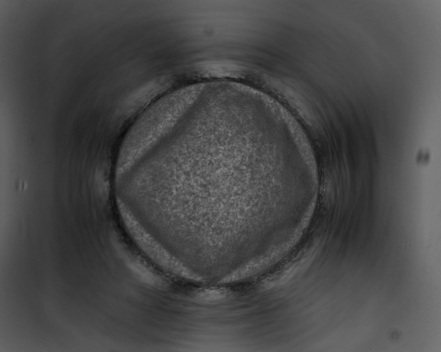 X0000101190402200807181516