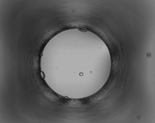 X0000101190403200807181516