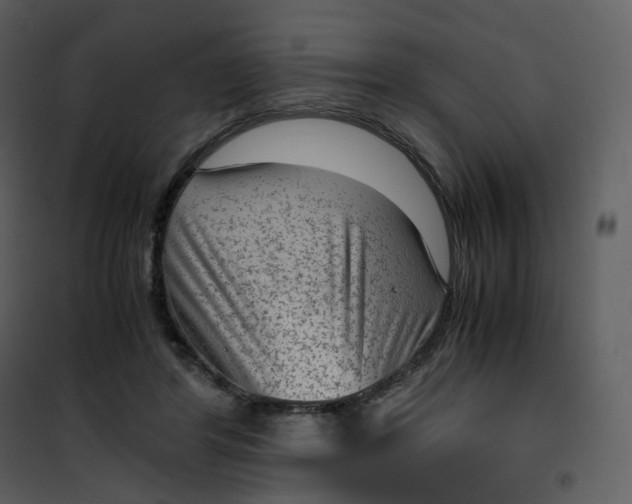 X0000101190404200807181516