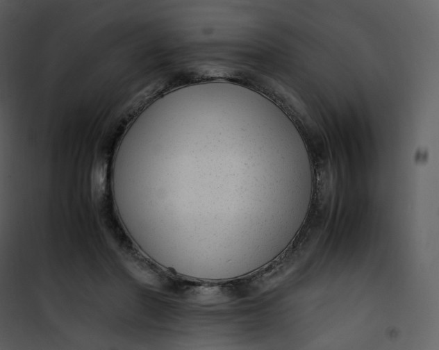 X0000101190406200807181516