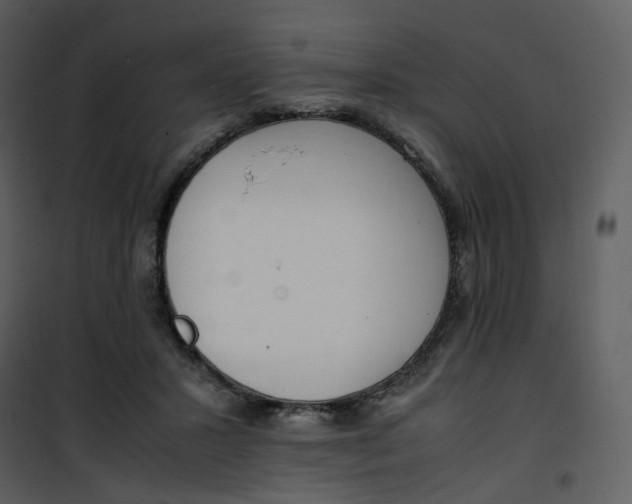 X0000101190407200807181516