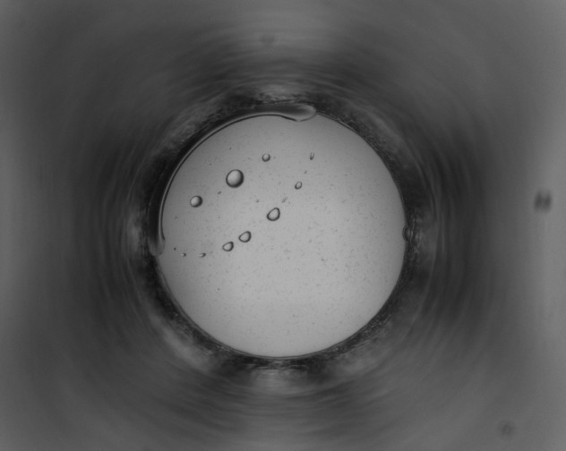 X0000101190408200807181516