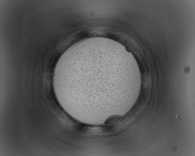 X0000101190409200807181516