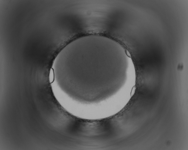 X0000101190411200807181516