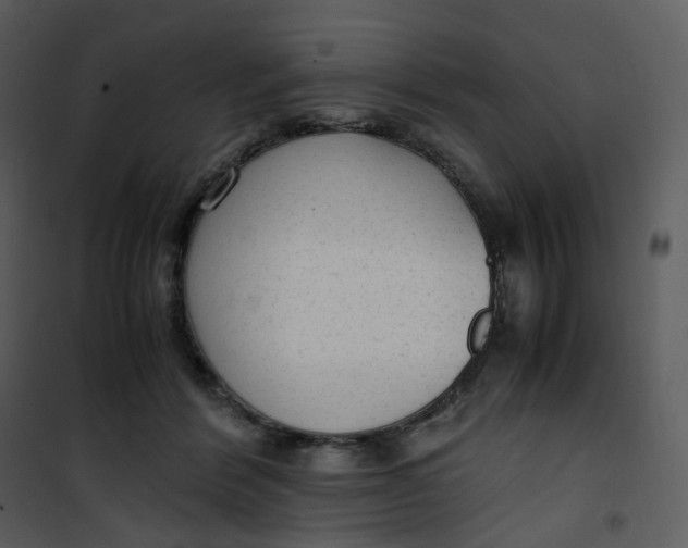 X0000101190412200807181516