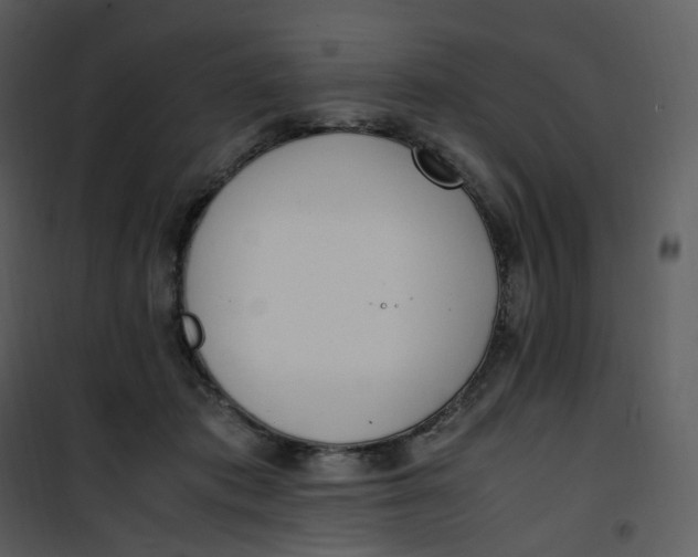 X0000101190413200807181516