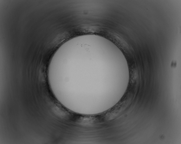 X0000101190414200807181516