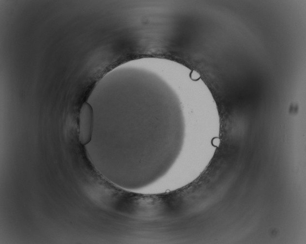 X0000101190415200807181515