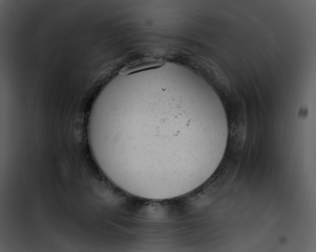 X0000101190416200807181515