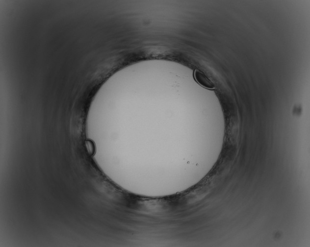X0000101190417200807181515