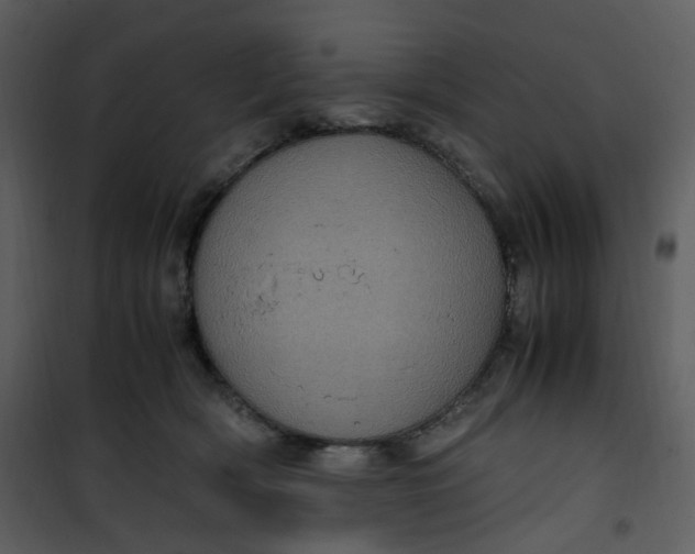 X0000101190418200807181515