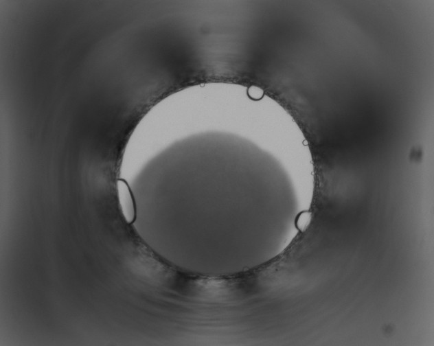 X0000101190419200807181515