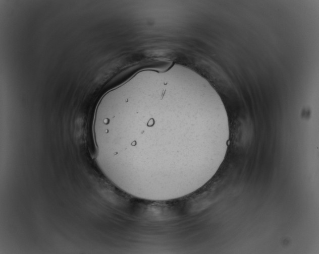 X0000101190420200807181515