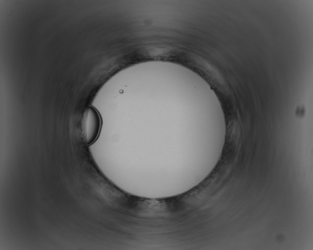 X0000101190421200807181515