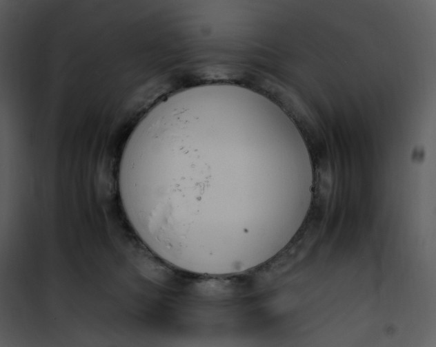 X0000101190422200807181515