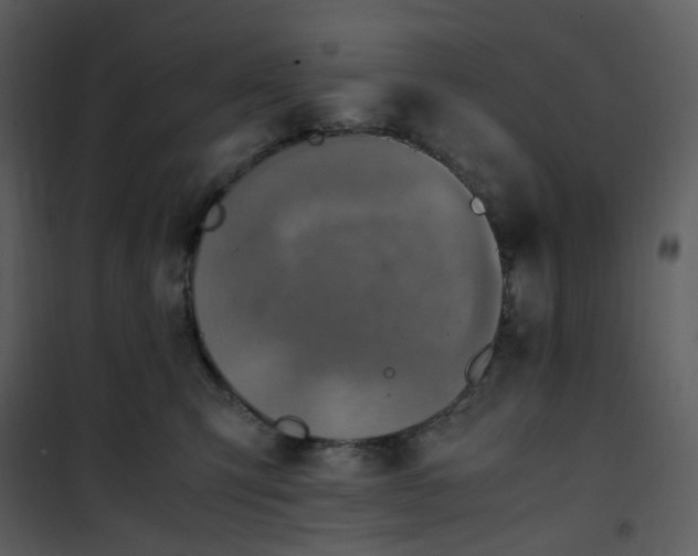X0000101190423200807181515