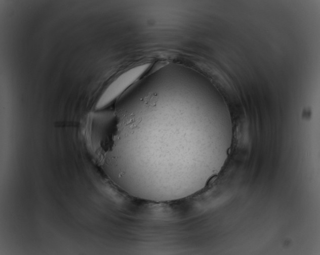 X0000101190424200807181515