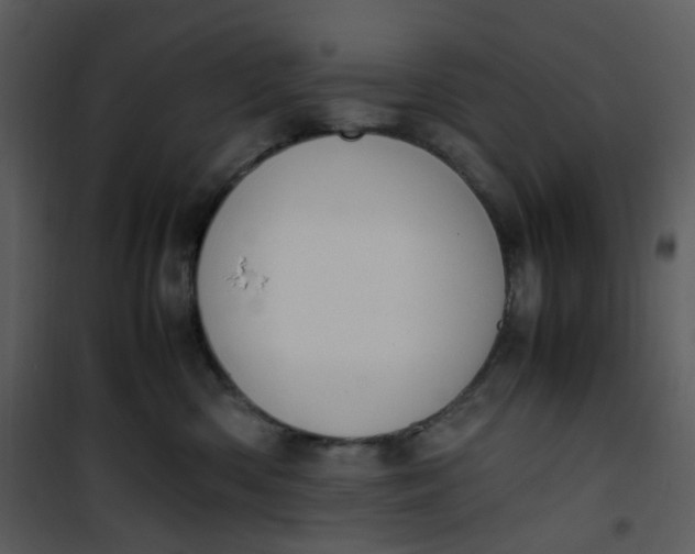 X0000101190426200807181515