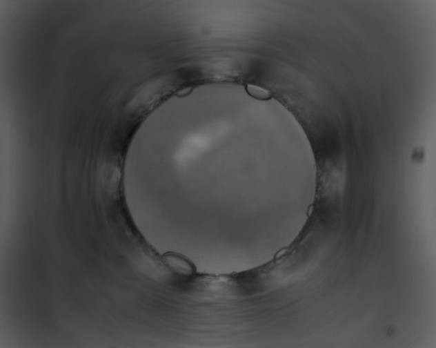 X0000101190427200807181515