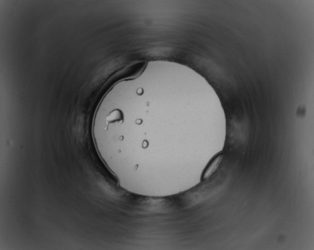 X0000101190428200807181515