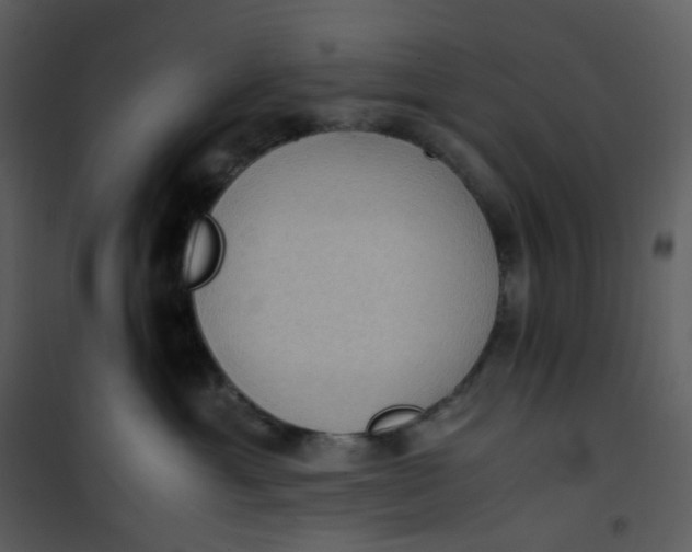 X0000101190429200807181515