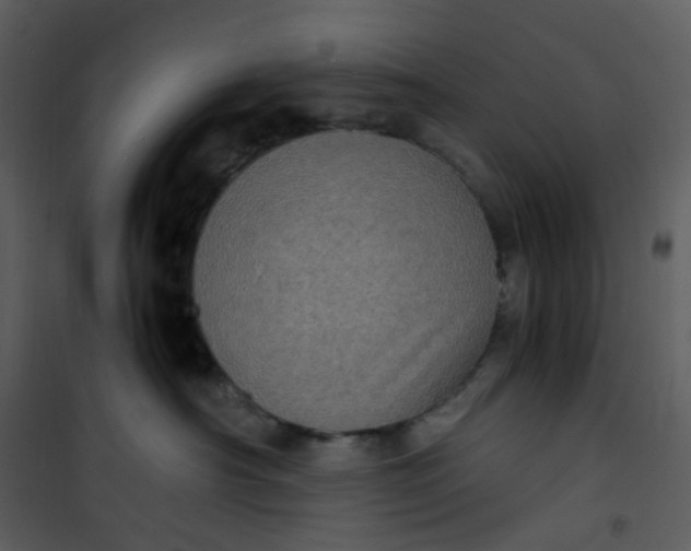 X0000101190430200807181515