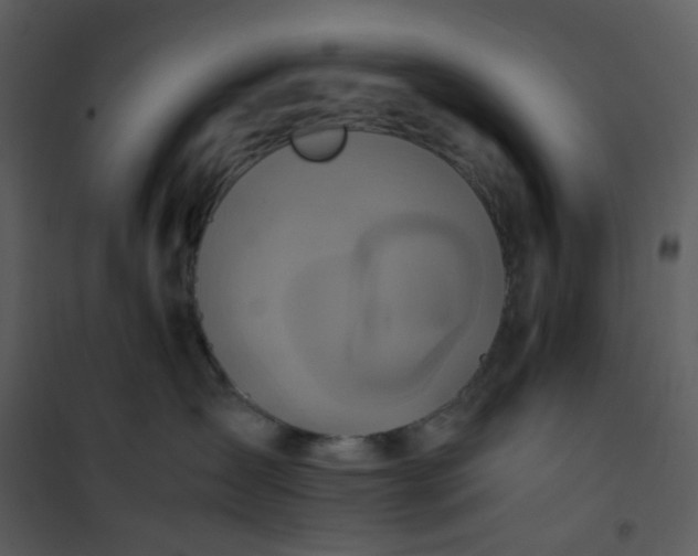 X0000101190431200807181515