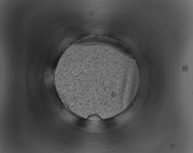 X0000101190432200807181515