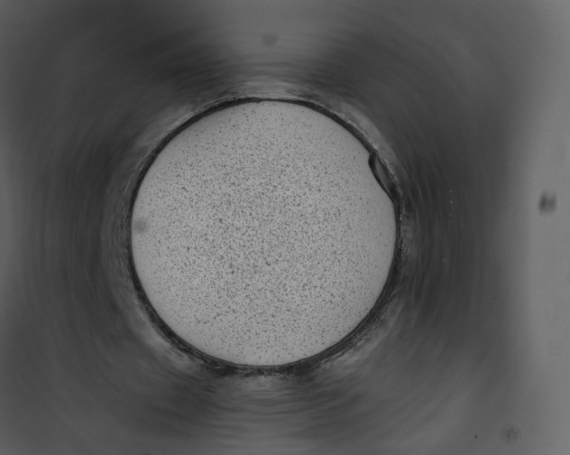 X0000101190433200807181515