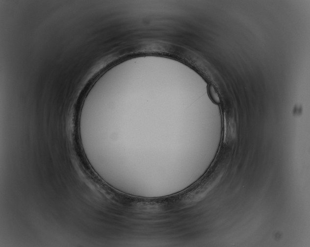 X0000101190435200807181515
