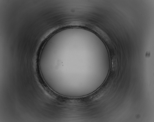 X0000101190436200807181515