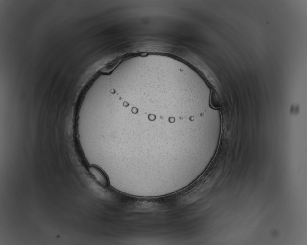X0000101190437200807181515