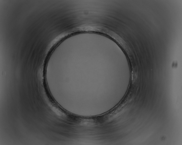 X0000101190438200807181515
