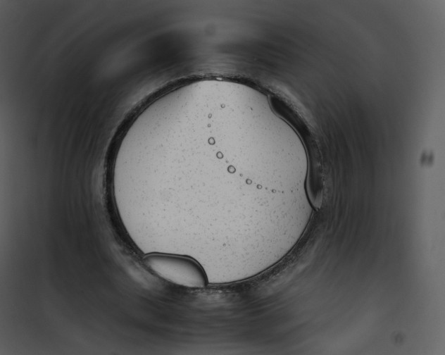 X0000101190439200807181515