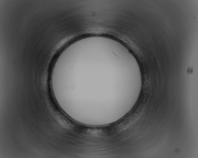 X0000101190440200807181515