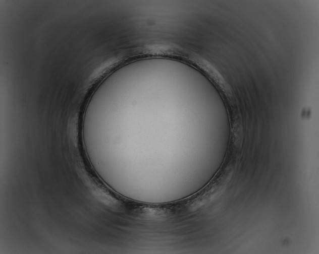 X0000101190442200807181515