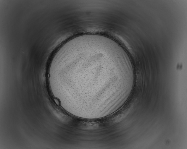 X0000101190443200807181515