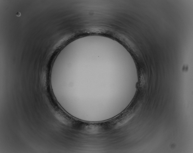 X0000101190444200807181515