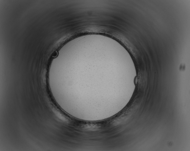 X0000101190445200807181515