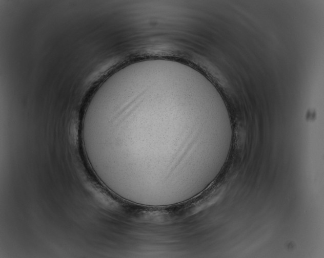 X0000101190446200807181515