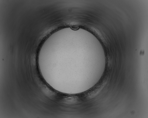 X0000101190447200807181515