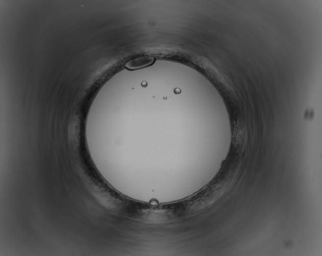 X0000101190448200807181515