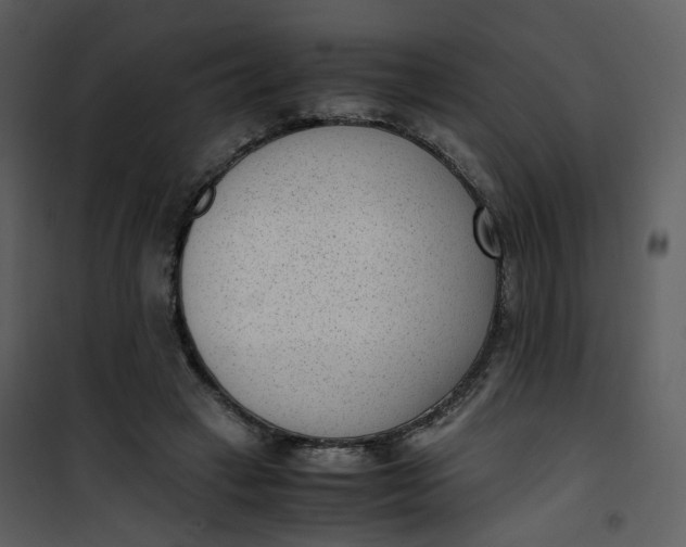 X0000101190449200807181515