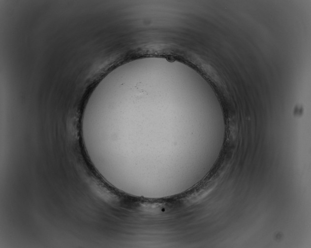 X0000101190450200807181515
