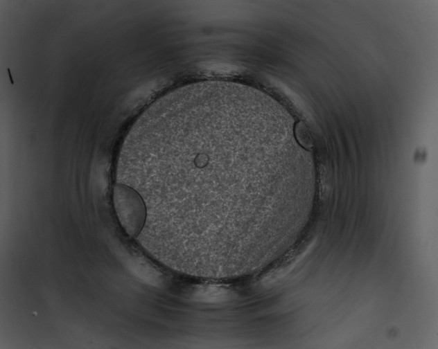 X0000101190451200807181515