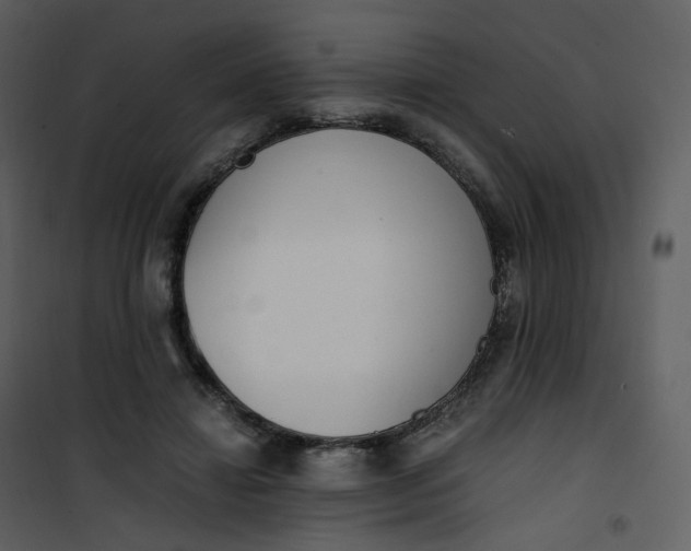 X0000101190452200807181515