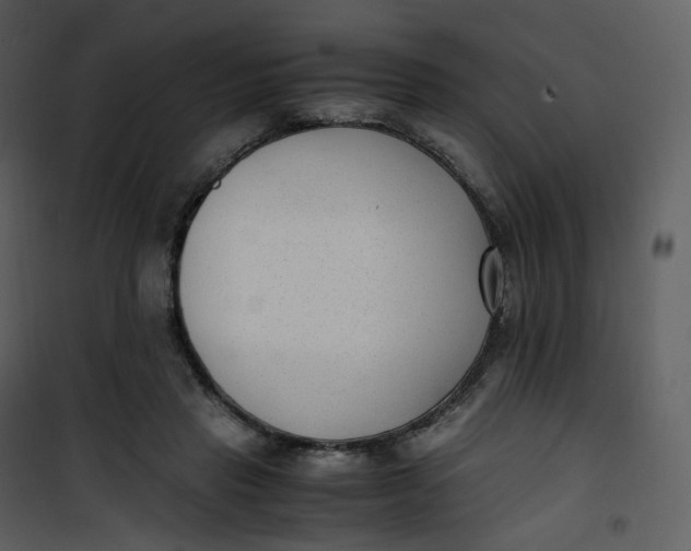 X0000101190453200807181515