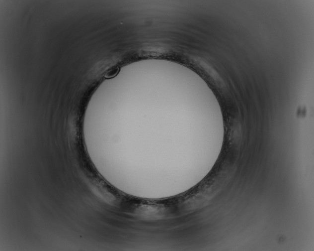 X0000101190455200807181515